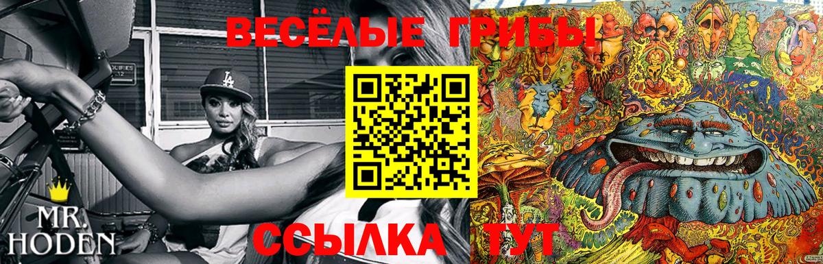 Псилоцибиновые грибы MAGIC MUSHROOMS Кировск