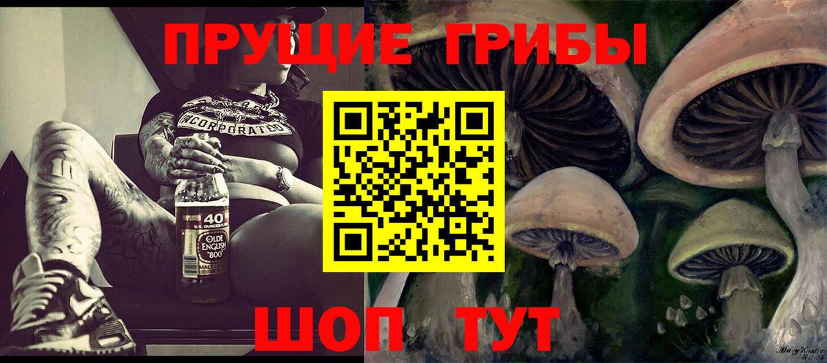 Кировск  Галлюциногенные грибы GOLDEN TEACHER  купить наркотики сайты  Вход с VPN  Псилоцибиновые грибы Psilocybe 